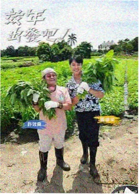 gogo高清在线 美食大冒险