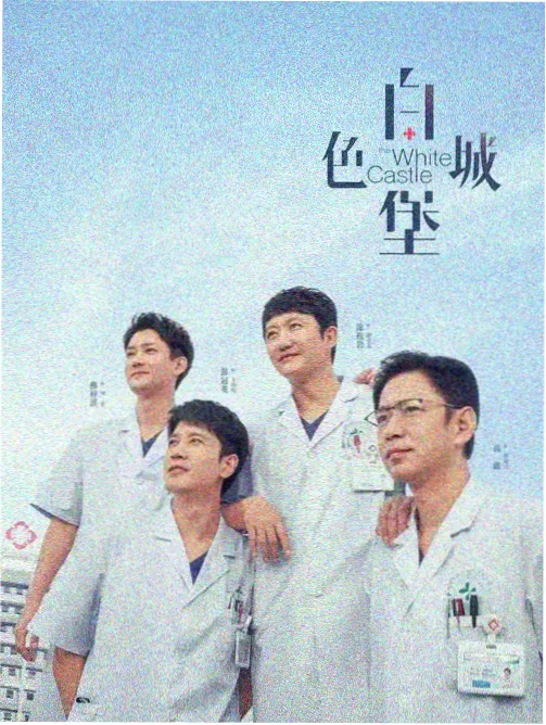 gogo高清在线 风云律师